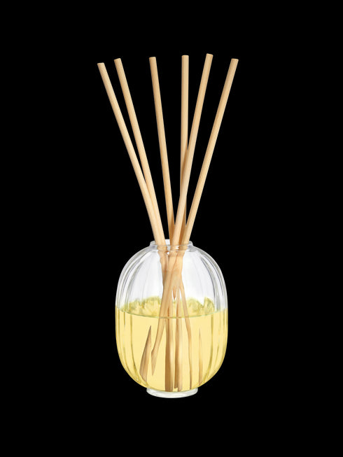 Sapin (Pine Tree) Home fragrance diffuser