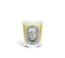 Citronnelle (Lemongrass) - Classic Candle (Limited Edition)