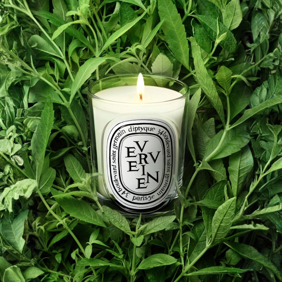 Verveine (Lemon Verbena) Classic Candle