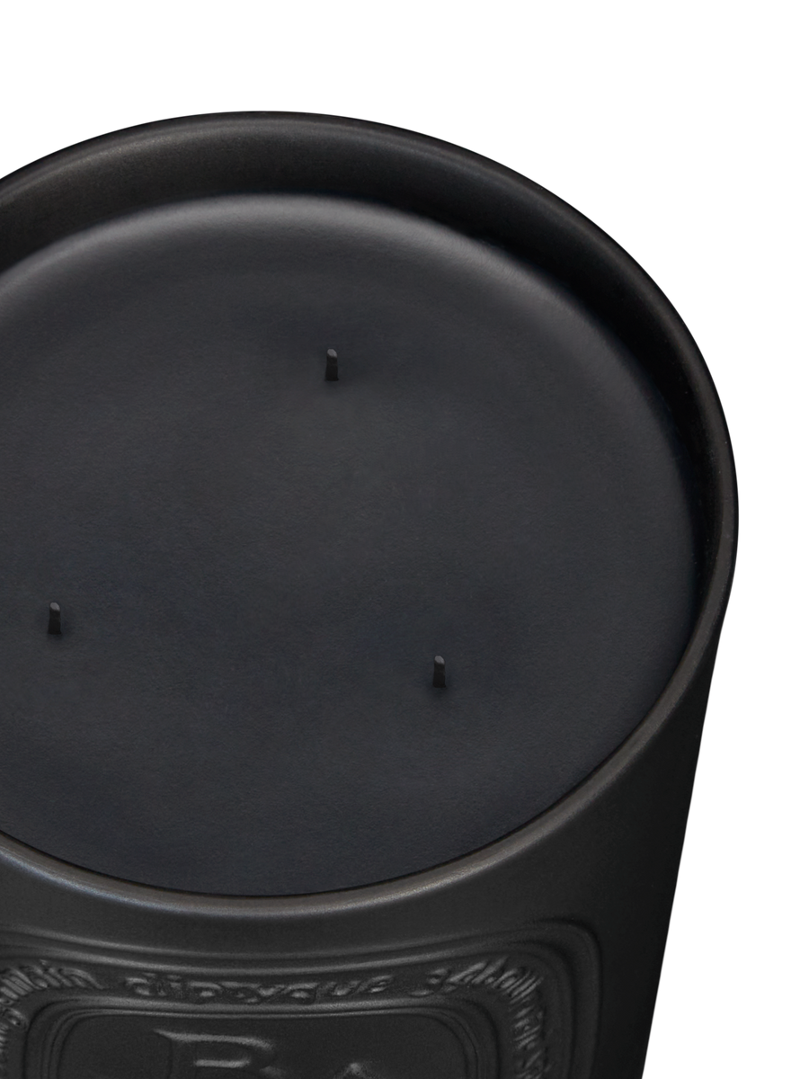 diptyque-baies-scented-candle-600g-in-white-background