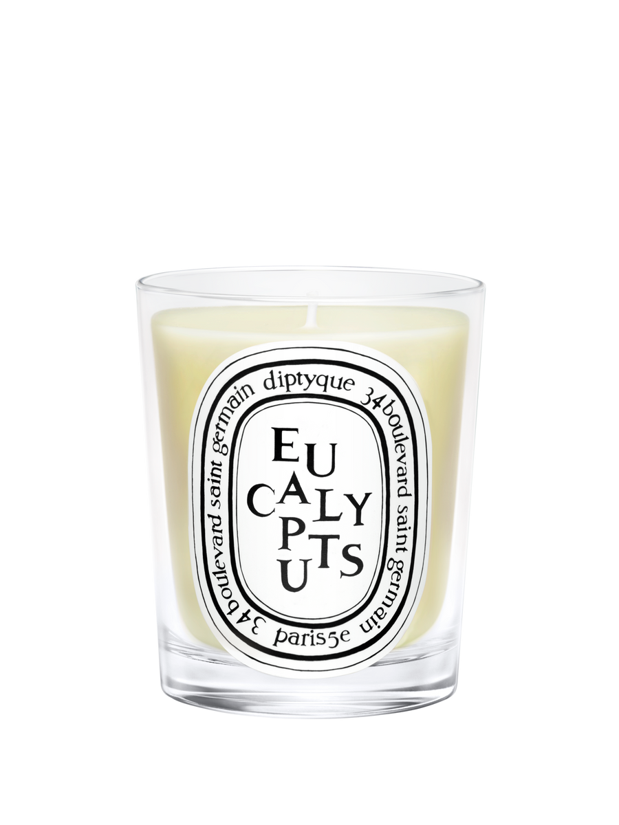 diptyque-eucalyptus-scented-candle-190g-in-white-background