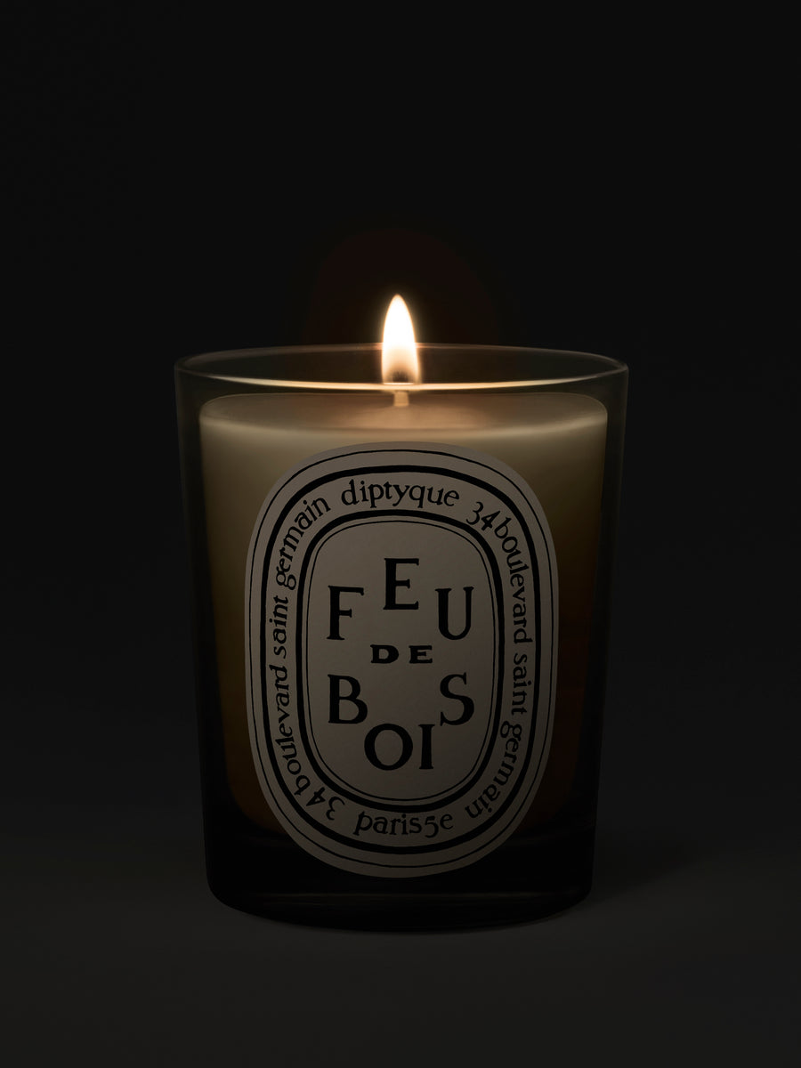 diptyque-feu-de-bois-scented-candle-190g-in-dark-background