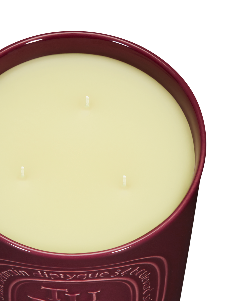 diptyque-tubereuse-scented-candle-600g-in-white-background