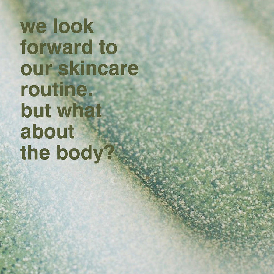 Eucalyptus Hand+Body Scrub