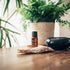 Forest Therapy Pure Essential Oil Blend