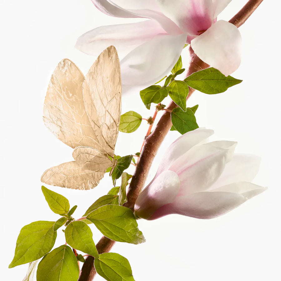 Un Matin D'orage Eau De Parfum