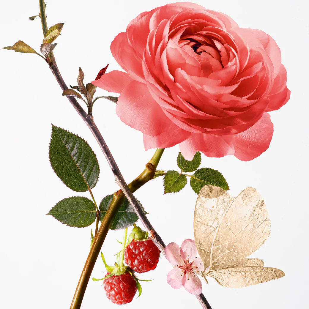 Rose Pompon Eau De Parfum